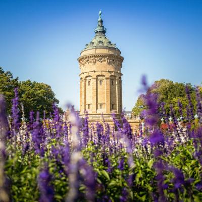 Am Wasserturm Mannheim